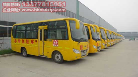 小學(xué)生、幼兒園校車圖片